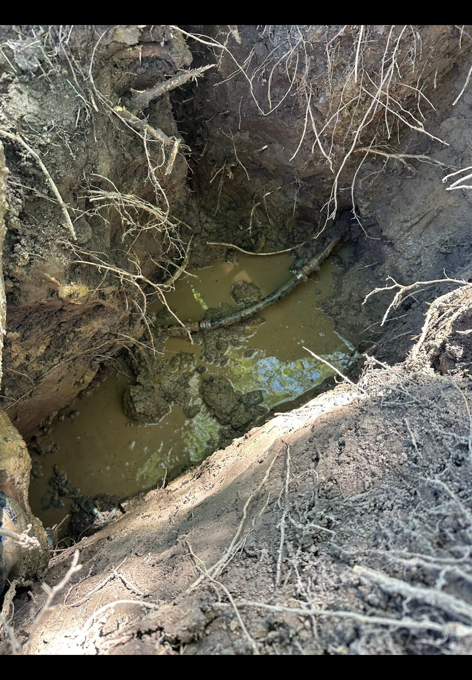 Excavated trench showing exposed water line with roots and standing water